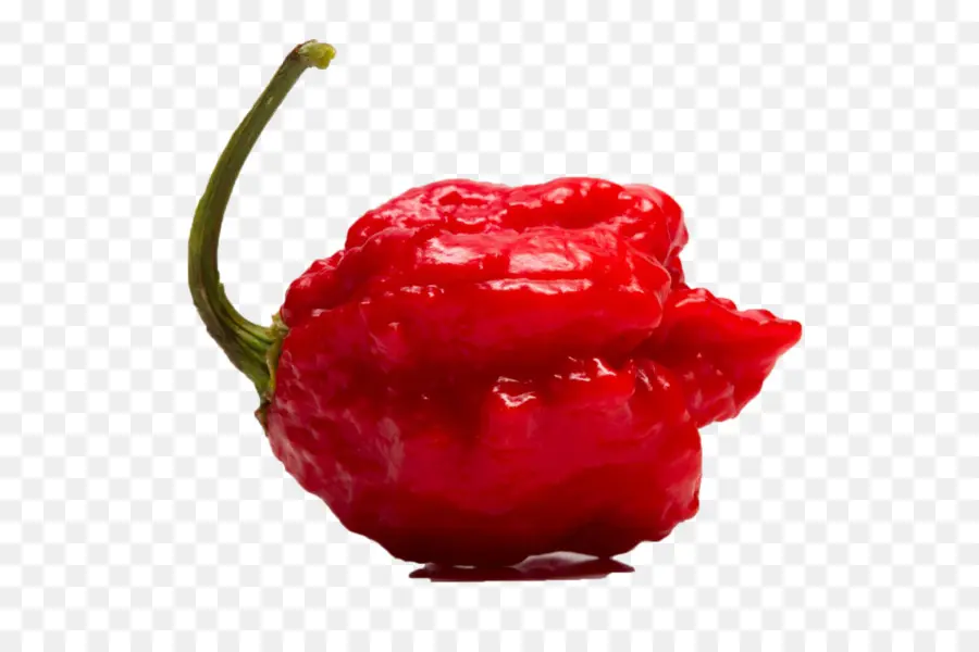 Pimienta De Chile，Carolina Reaper PNG