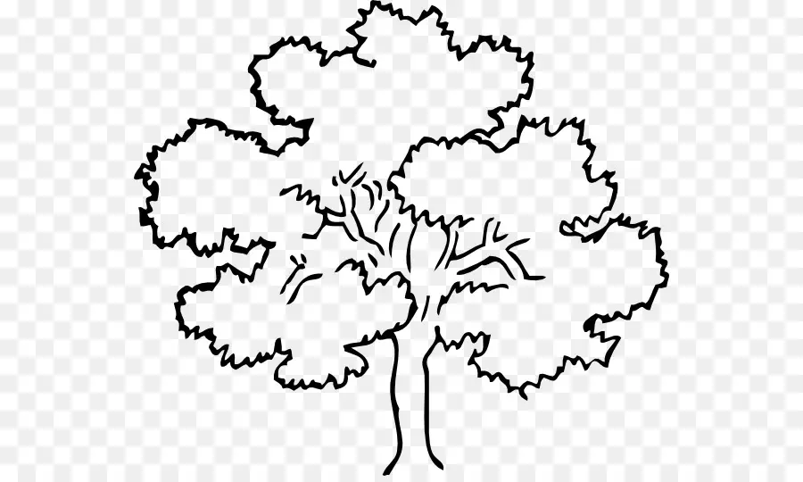 Contorno Del árbol，Bosquejo PNG