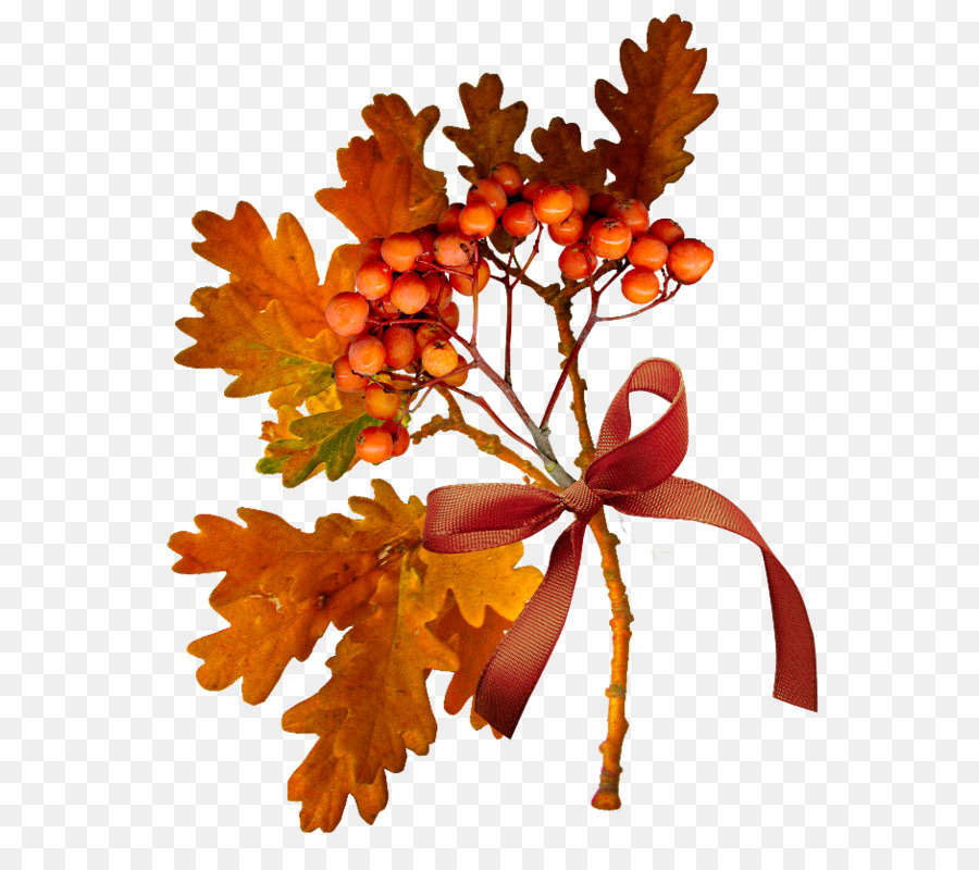 Hojas De Otoño，Caer PNG