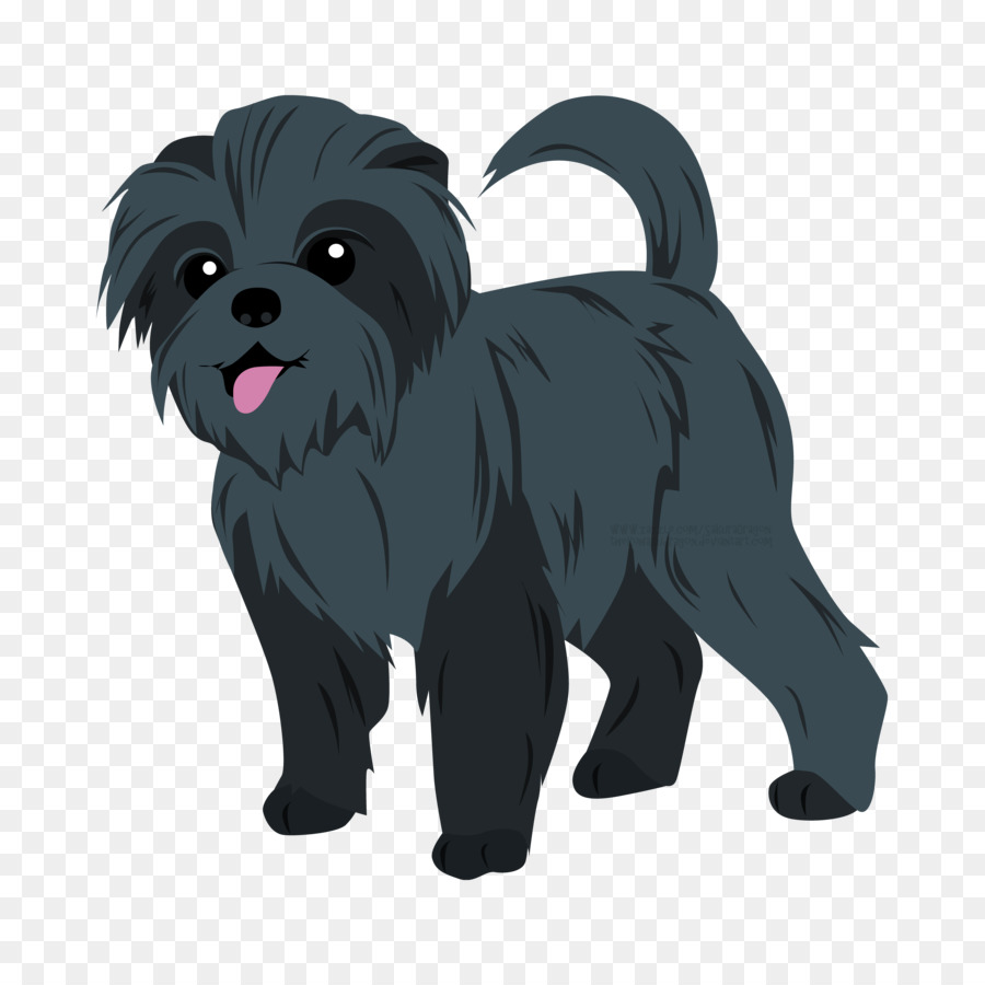 Affenpinscher，Cachorro PNG