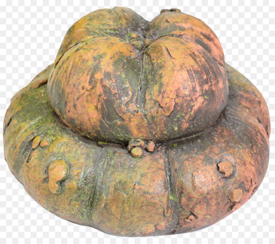 Cucurbita，Calabaza De Invierno PNG