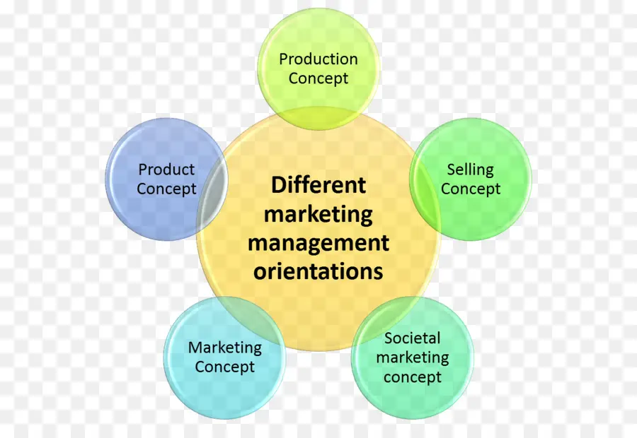 Orientaciones De Gestión De Marketing，Concepto De Producción PNG