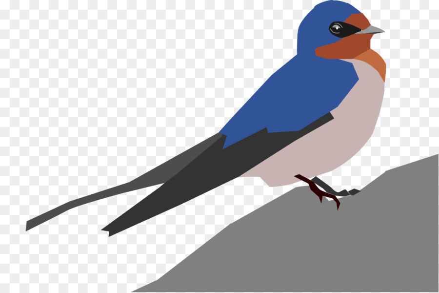 Pájaro，Hirundininae PNG