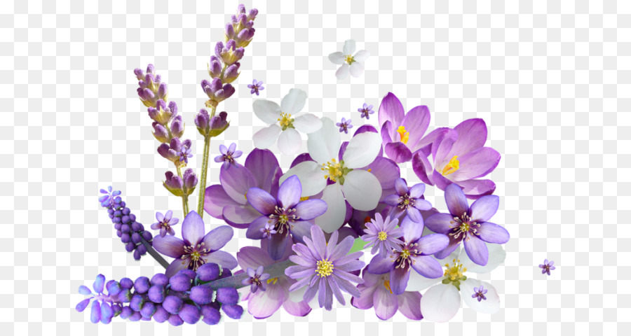 Flores，Púrpura PNG