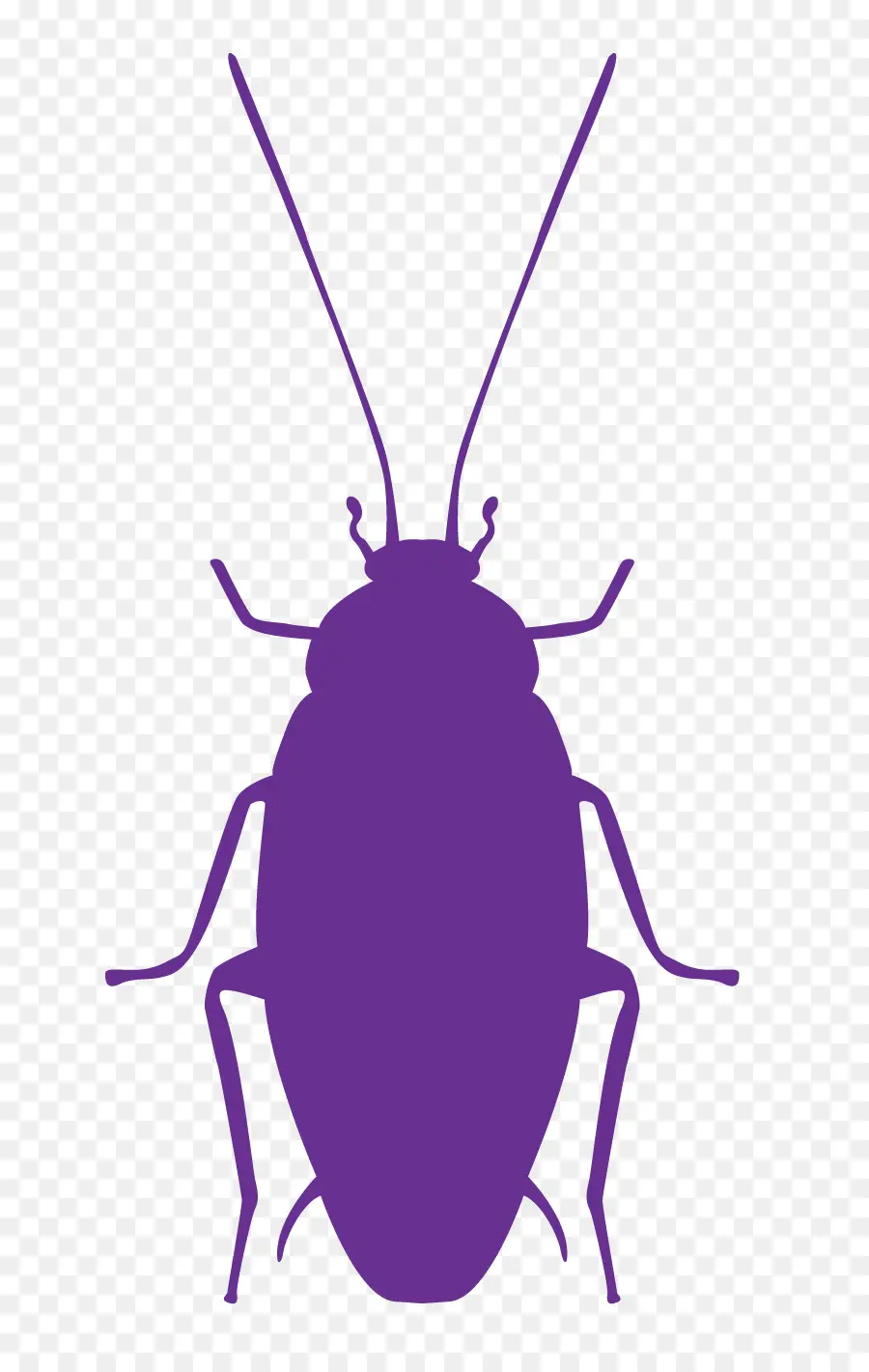 Cucaracha，Los Insectos PNG