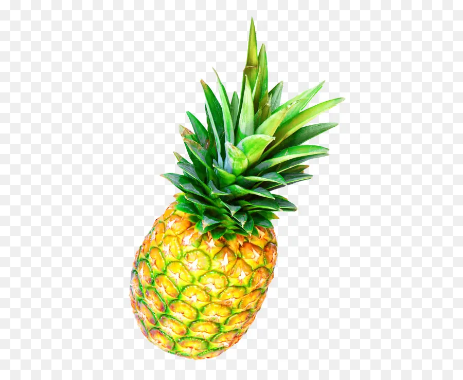 Piña，Piña Bun PNG