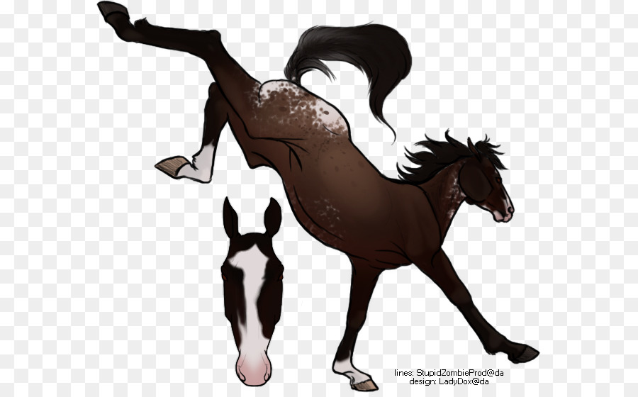 Caballos，Potro PNG