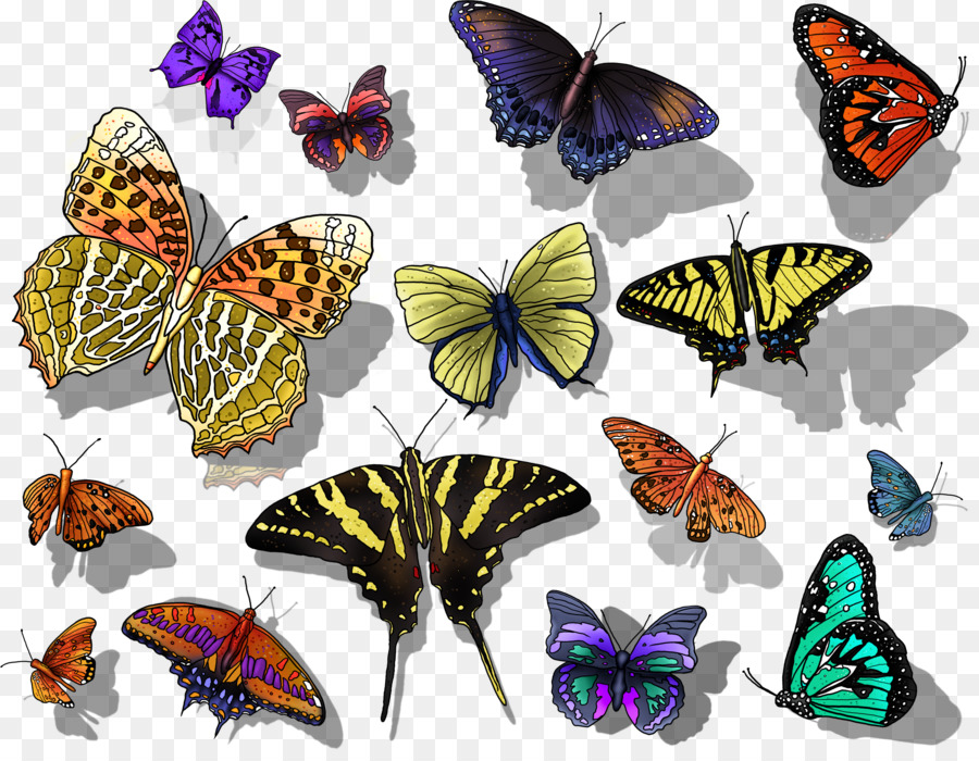 Mariposas，Vistoso PNG