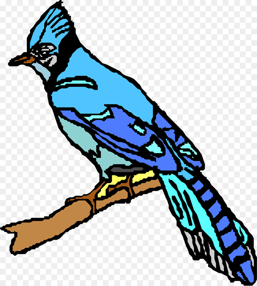 Pájaro Azul，Plumas PNG