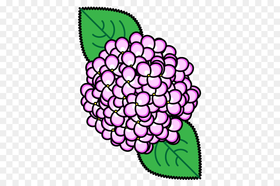 Flor，French Hydrangea PNG