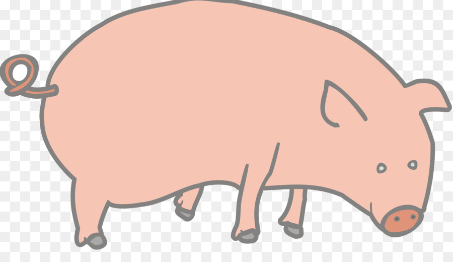 Cerdo Durmiente，Cerdito PNG