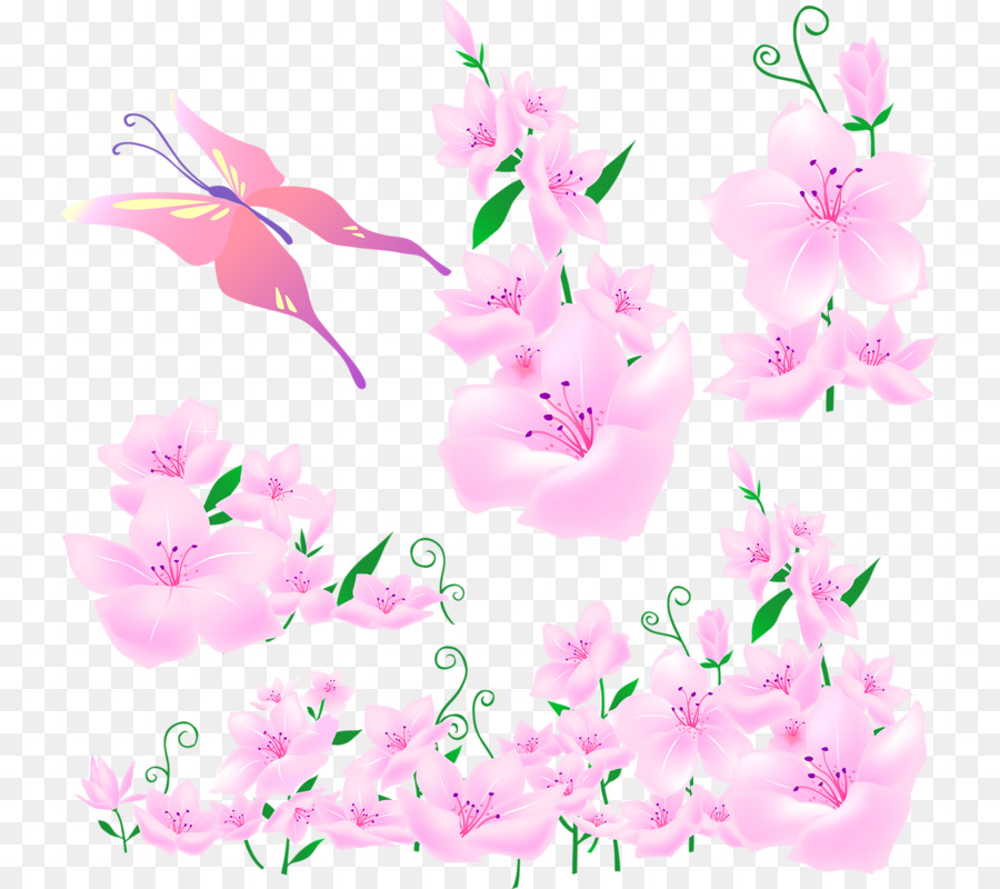 Descargar，Flor PNG