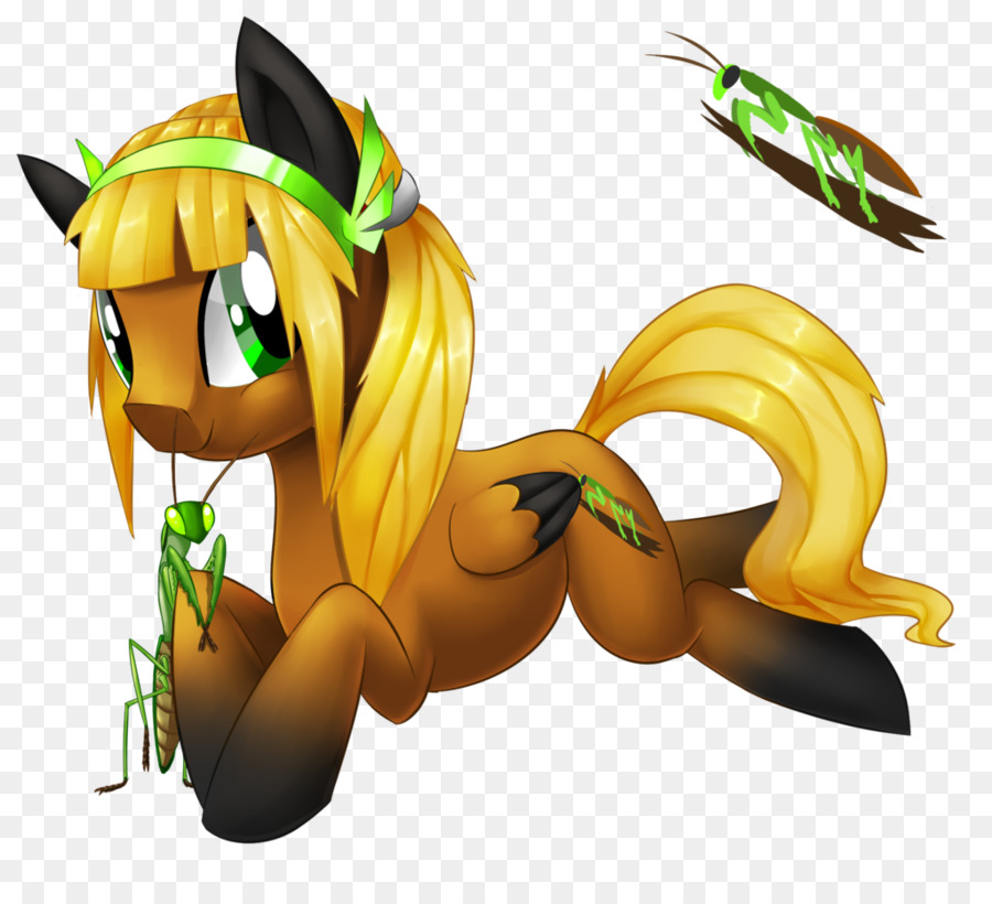 Pony，Caballo PNG