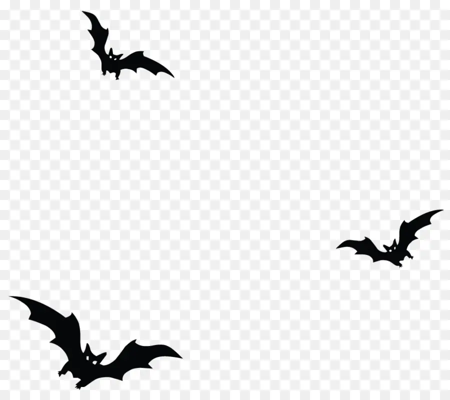 Bat，Halloween PNG