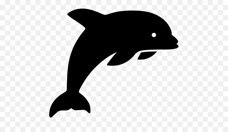 Iconos De Equipo，Dolphin PNG