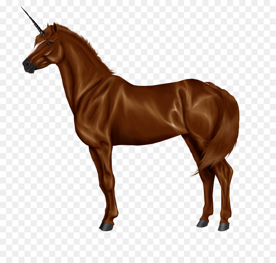 Unicornio，Mítico PNG