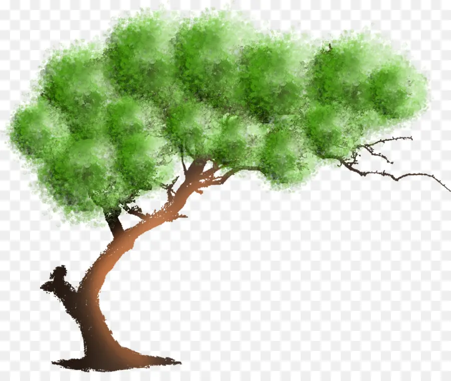 árbol Verde，Naturaleza PNG