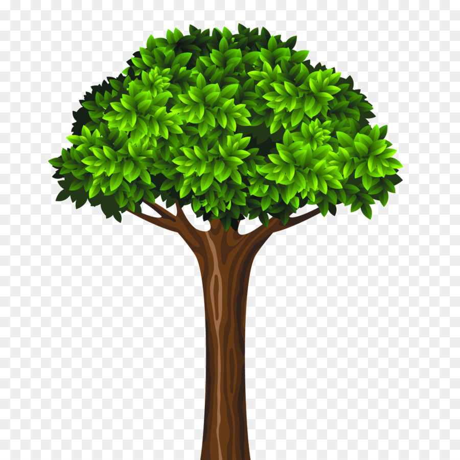 árbol Verde，Naturaleza PNG