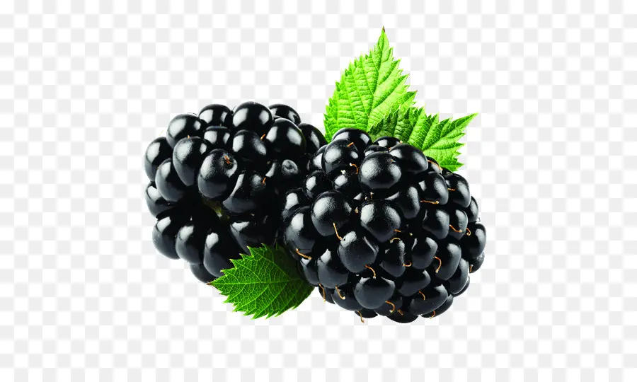 Blackberry，Teléfonos Móviles PNG