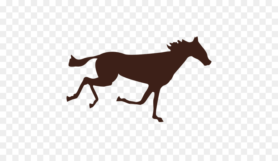 Caballo，Correr PNG