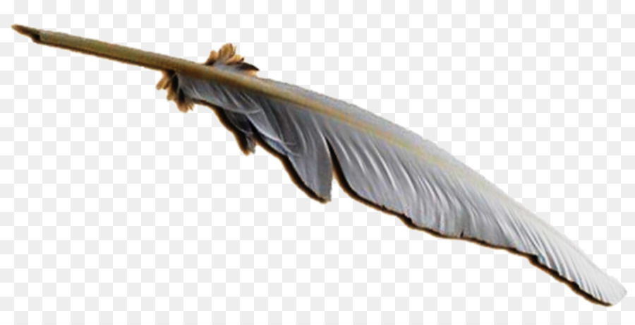 Pluma，Lápiz PNG