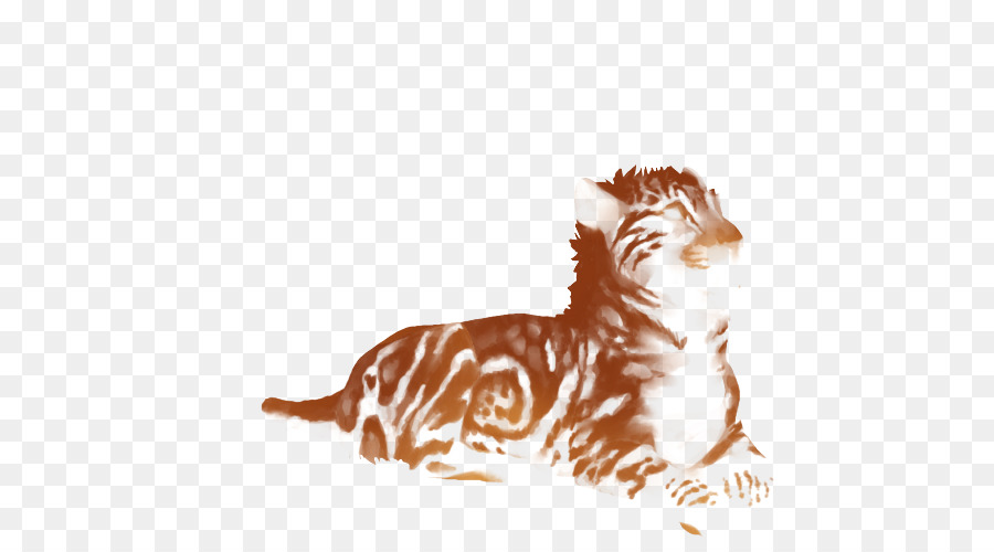 Felidae，León PNG