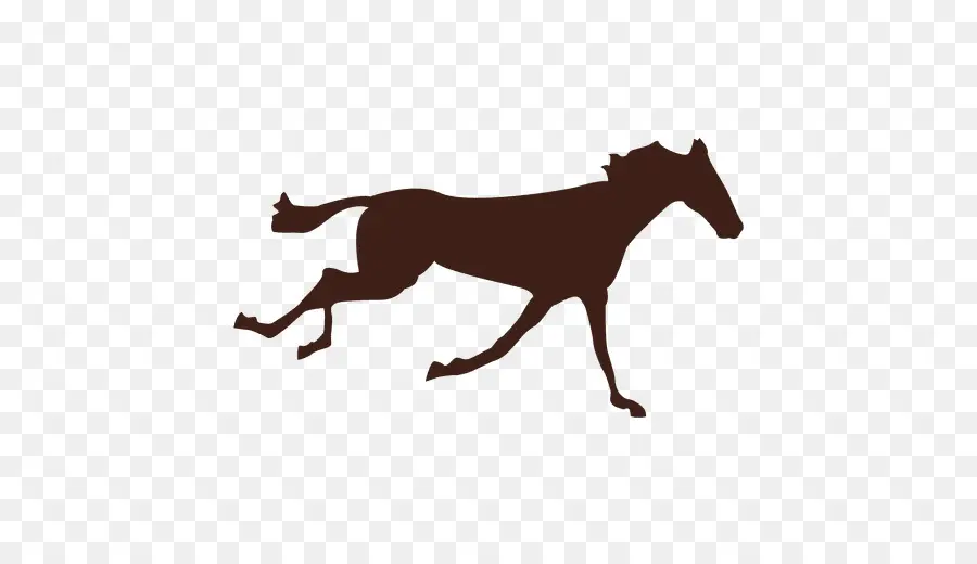 Caballo Corriendo，Silueta PNG