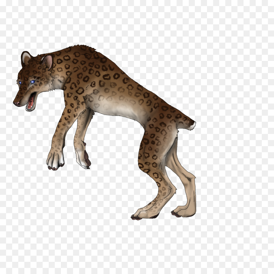 Gato，Cheetah PNG