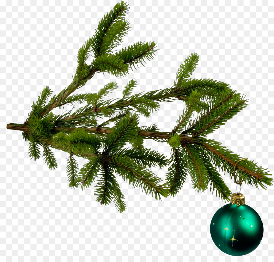 La Navidad，árbol De Navidad PNG