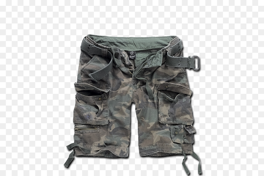 Pantalones Cortos，Ropa PNG