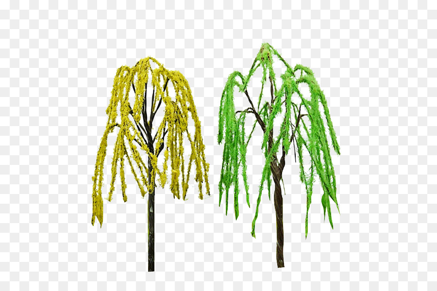 árbol，Ramita PNG