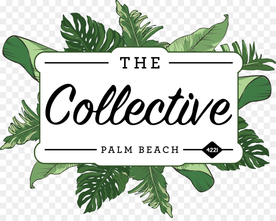 Colectivo De Palm Beach，Playa PNG