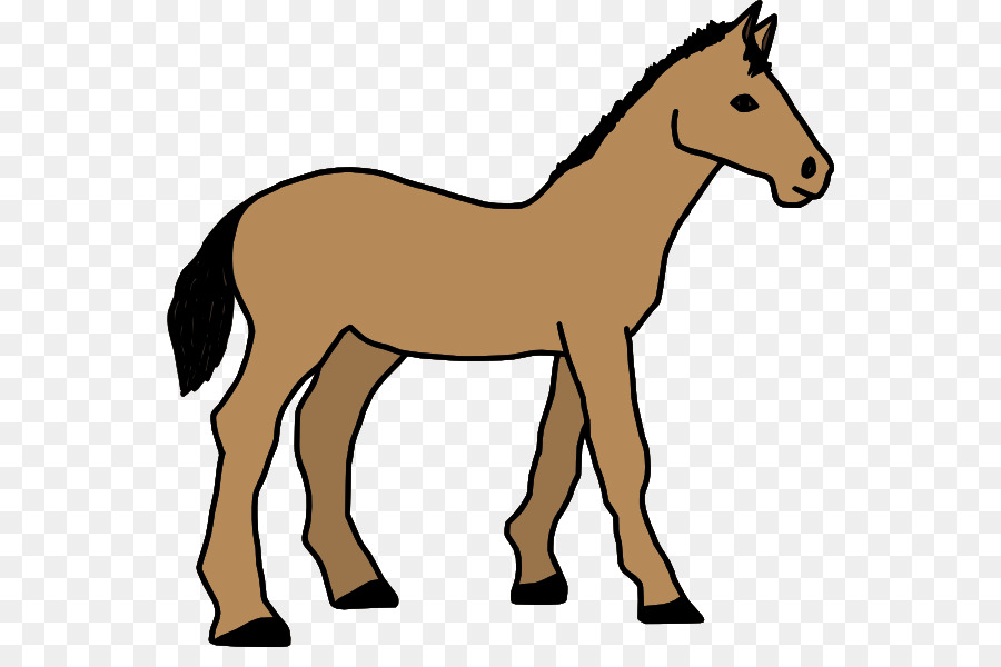 Caballo，Pony PNG