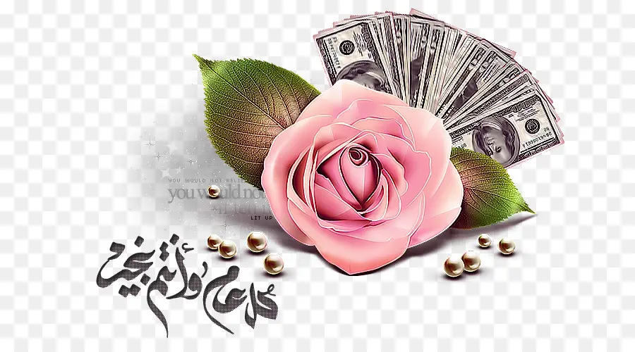 Rosa Rosa，Dinero PNG