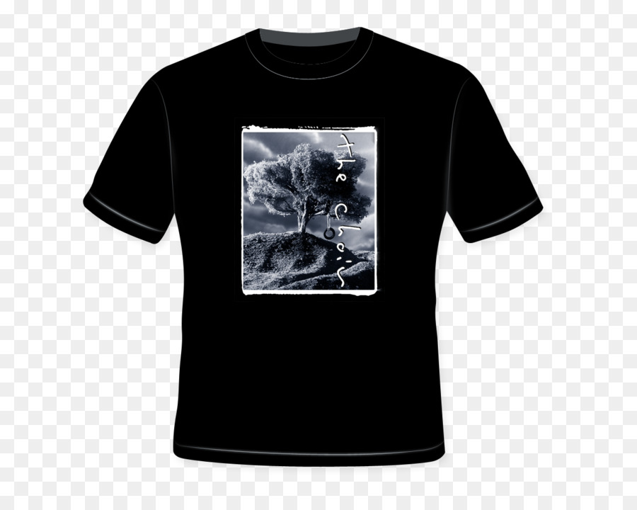 Camiseta，Ropa PNG