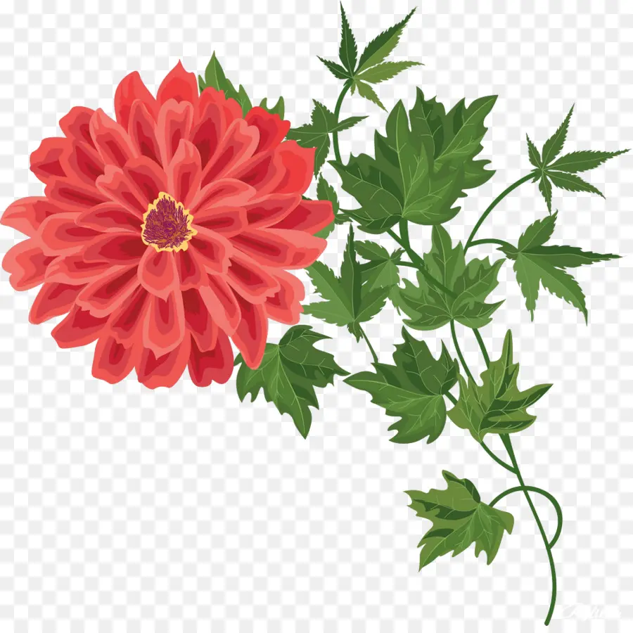 Flor Roja，Florecer PNG