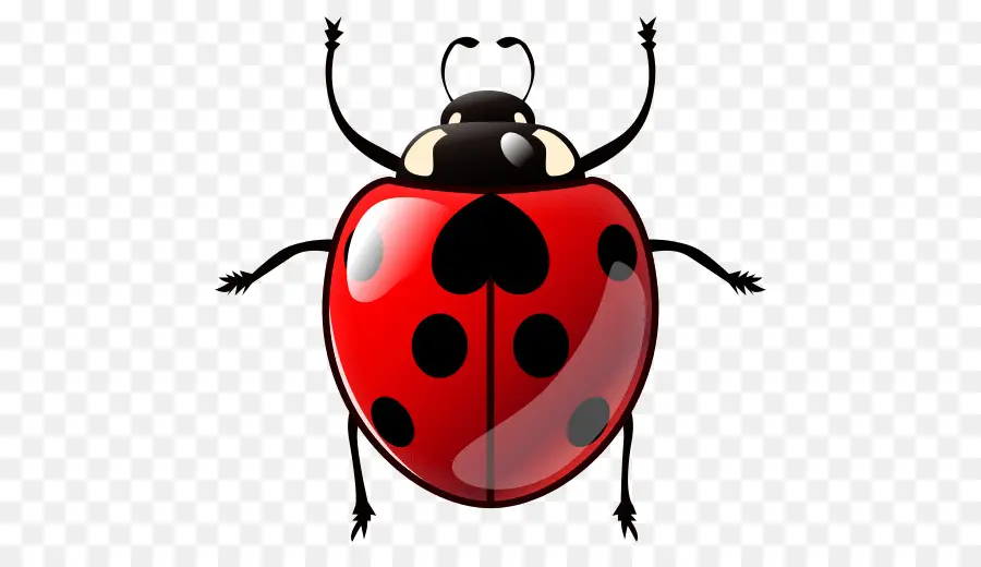 Escarabajo，Emoji PNG