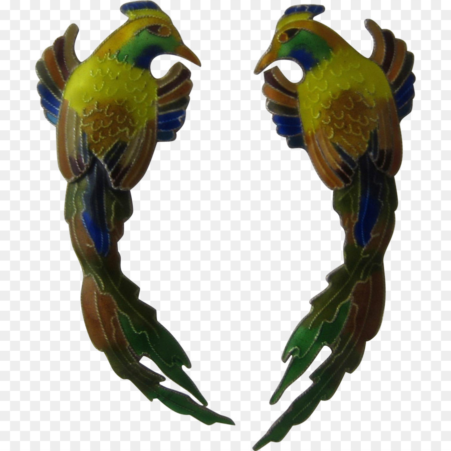 Pájaros Coloridos，Pájaro PNG