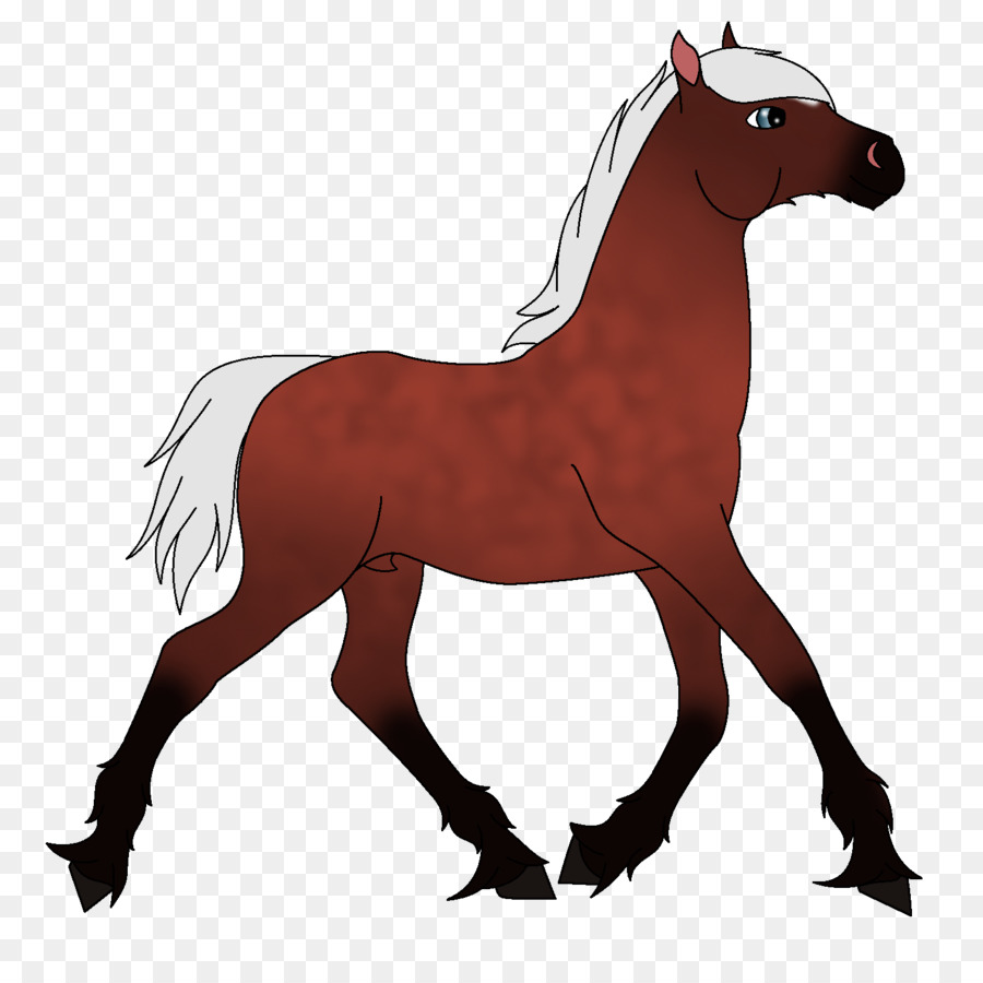 Caballo，Equino PNG