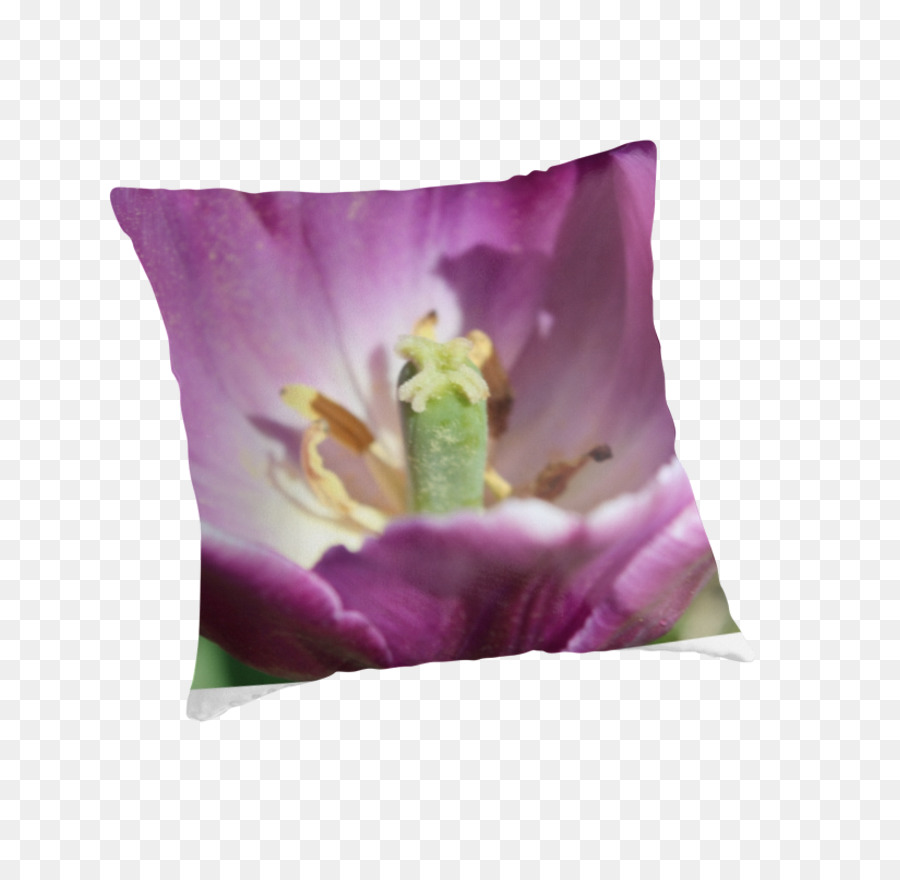 Lila，Lavanda PNG