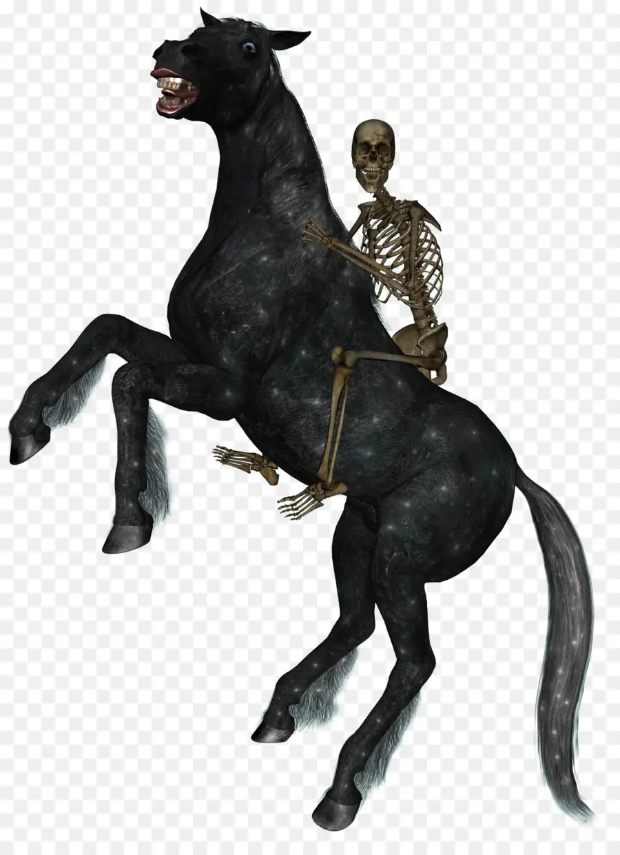 Esqueleto A Caballo，Esqueleto PNG