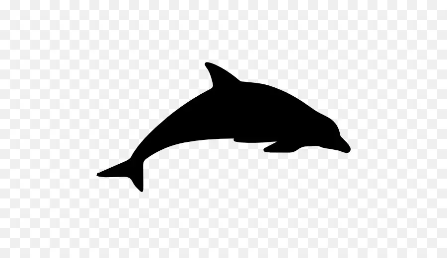 Marsopa，Dolphin PNG