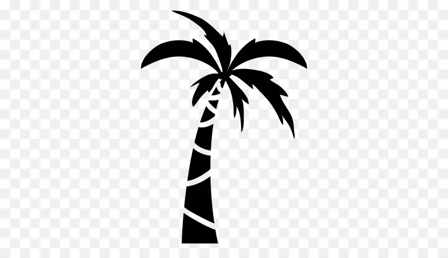 Dibujo，Arecaceae PNG