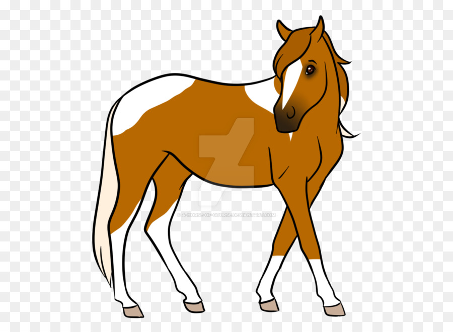 Caballo，Equino PNG