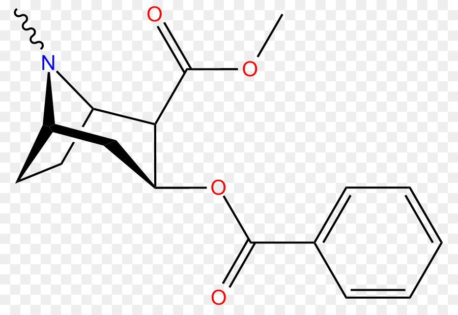 Coca，Alcaloide PNG