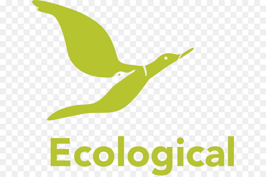 Ecología，El Diseño Ecológico PNG