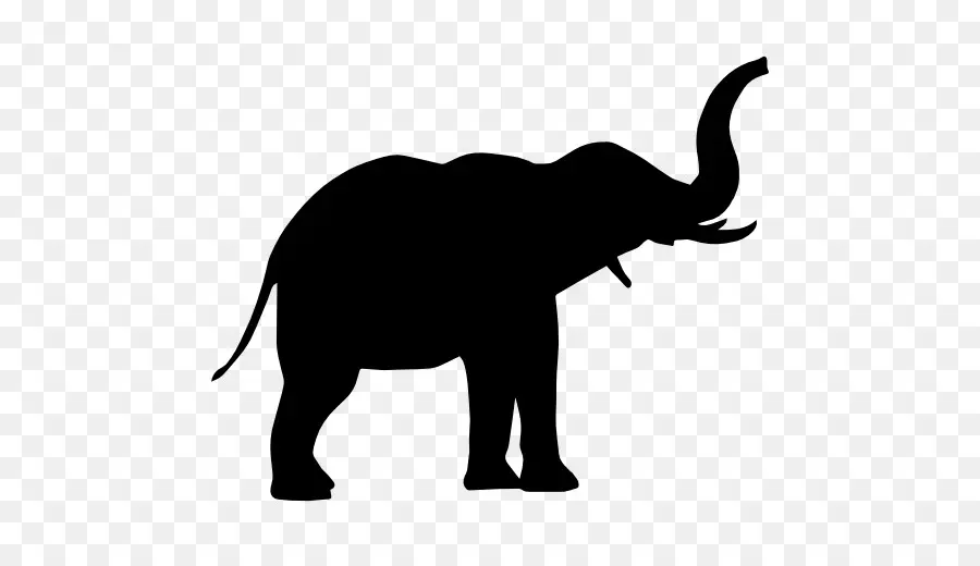 Elefante，Silueta PNG