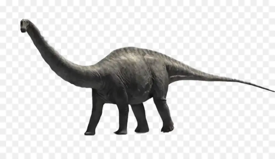 Apatosauro，Diplodocus PNG