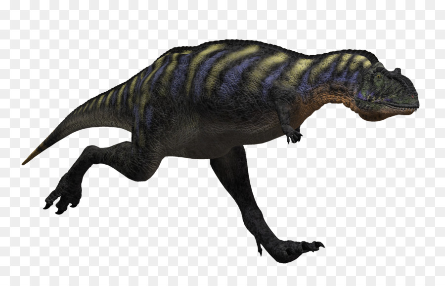 Aucasaurus，Tyrannosaurus PNG