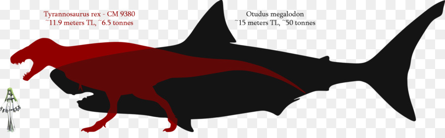 Tiburón，Megalodon PNG